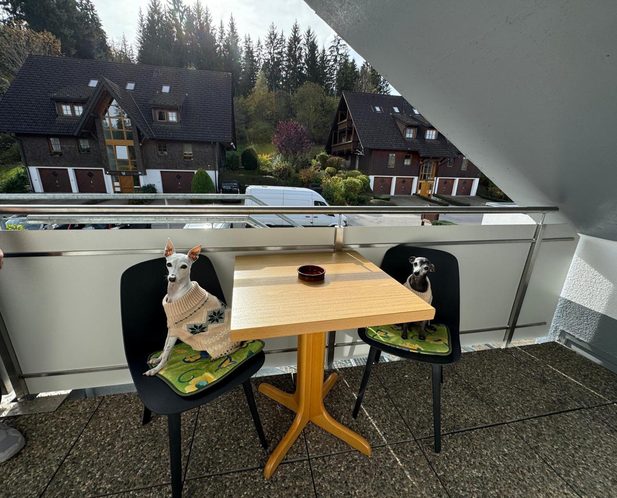 Ferienhaus Frei 4 Compact Hinterzarten Extérieur photo